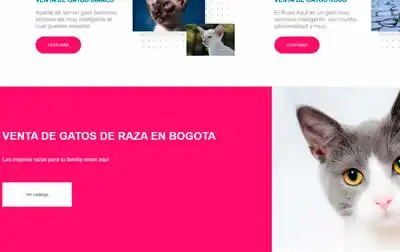 pagina web venta de gatos